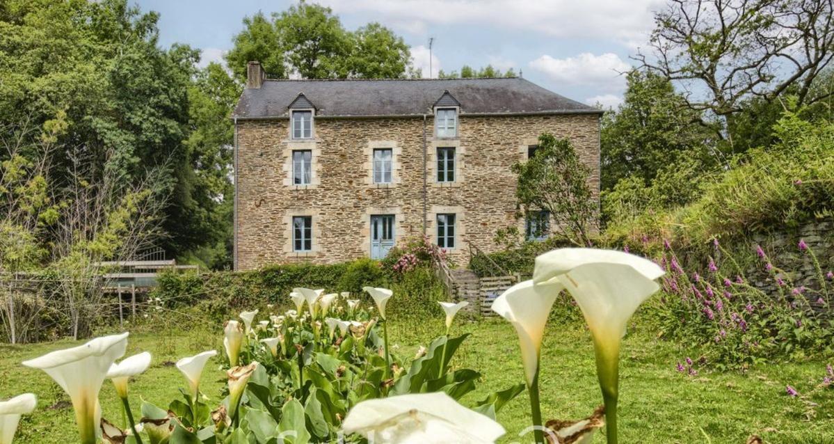 Le Moulin De Gueuzon Apartment Rochefort-en-Terre Ngoại thất bức ảnh