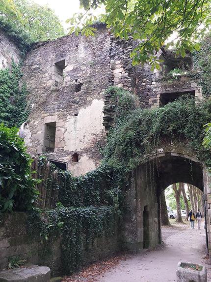 Le Moulin De Gueuzon Apartment Rochefort-en-Terre Ngoại thất bức ảnh
